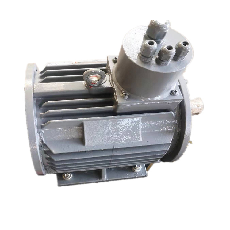 Fuel Free Permanent Magnet Alternator 1000kw 500rpm IP54 IP55 IP68