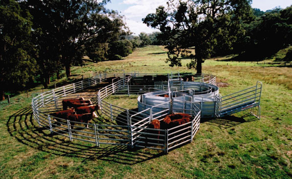 Oval Bars Livestock Lightweight CE Heavy Duty Cattle Panel 1.6x2.1m 1.8x2.1m