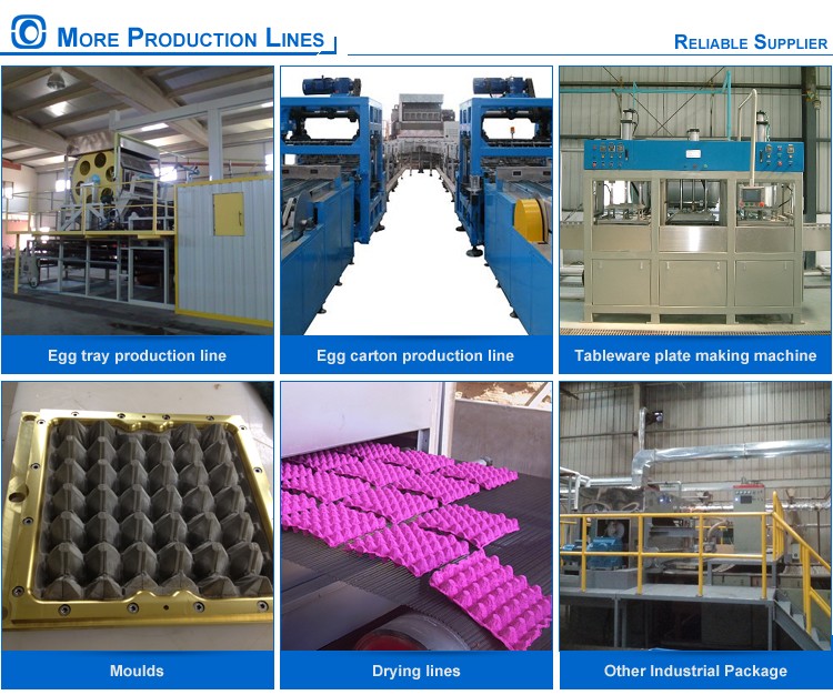 Farm Use Paper Box Forming Machine , Egg Carton Maker With Small Investment