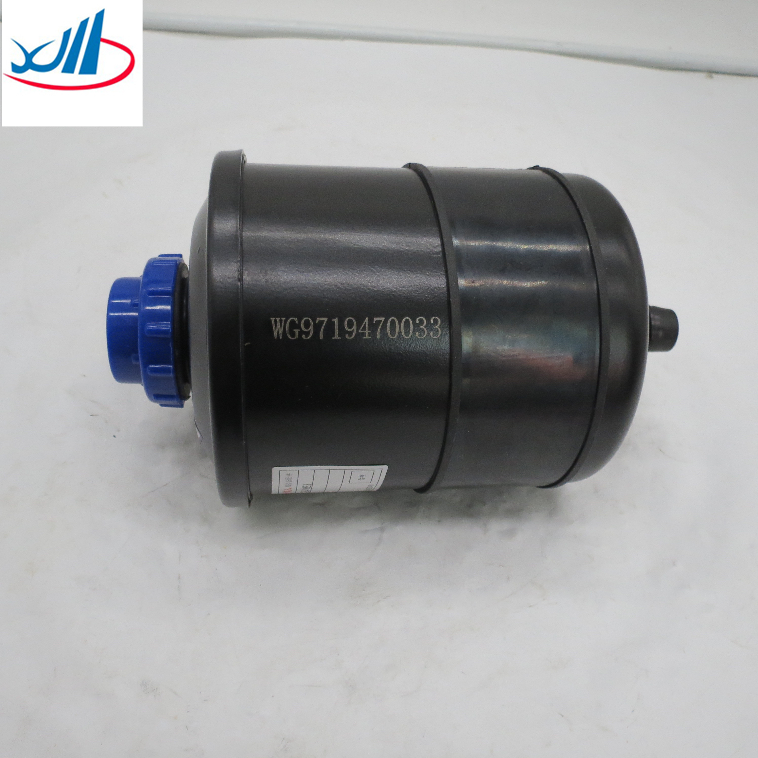 Competitive Price power steering oil pump WG9719470033