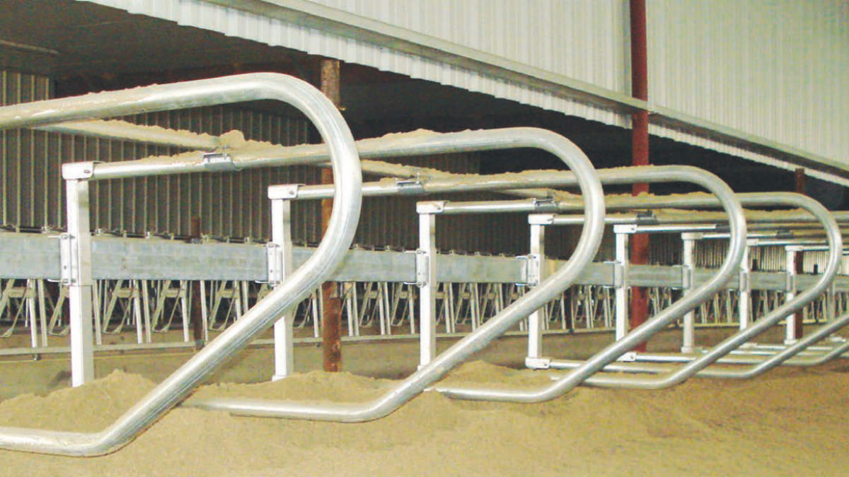 Customized Stainless Steel Farm Poultry Feeding And Livestock Equipments For Standards