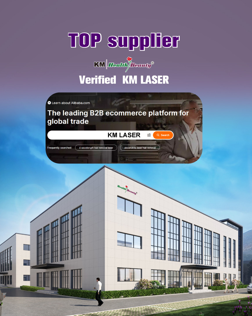 Professional Alexandrite Laser Machine 755nm OEM ODM Services
