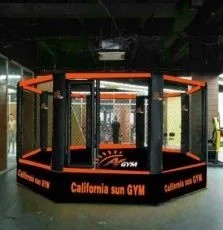 Personalised Gym Equipment Accessories MMA Octagon Ring Cage