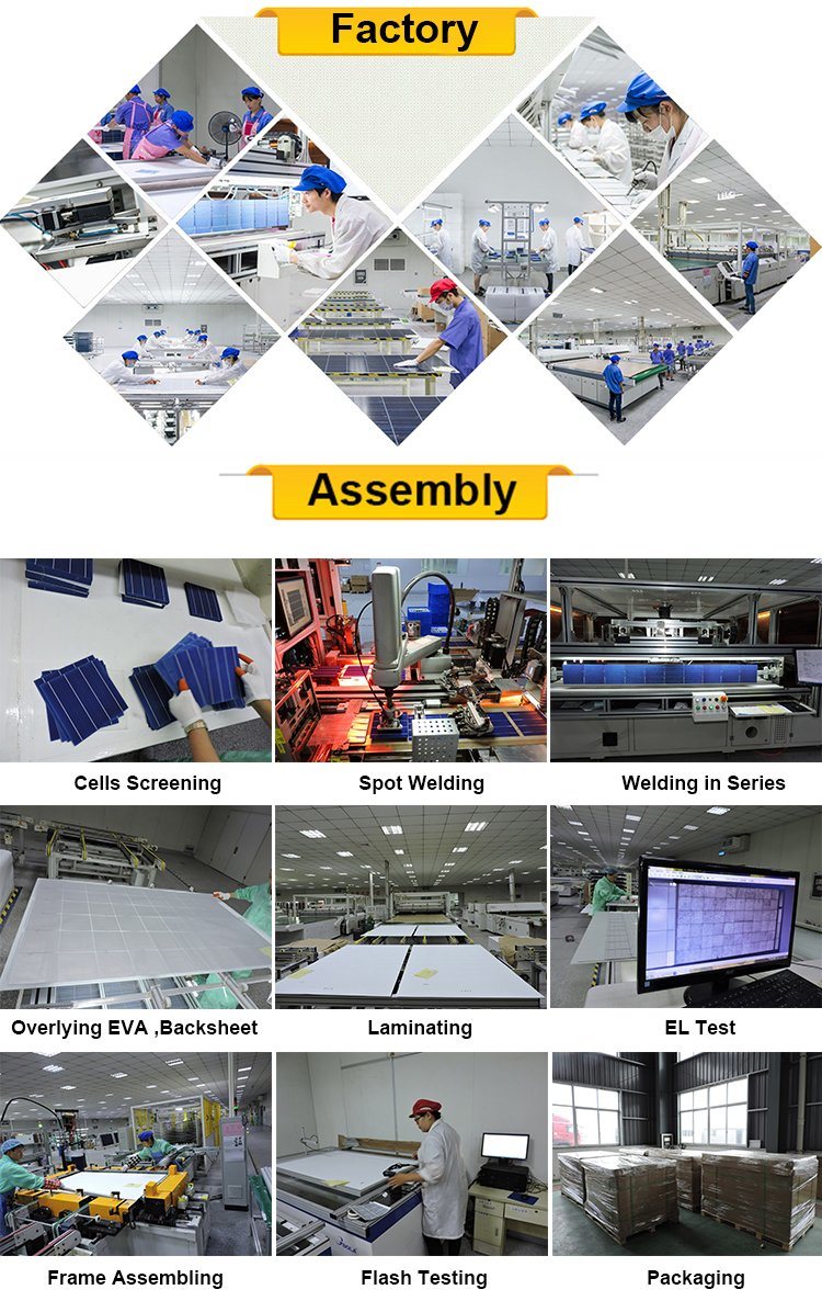 Trina / Yingli / Jinko / Suntech 250W Solar Panel Price