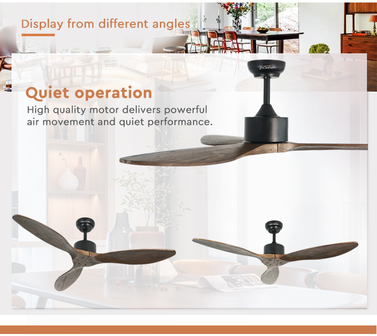 ceiling fan