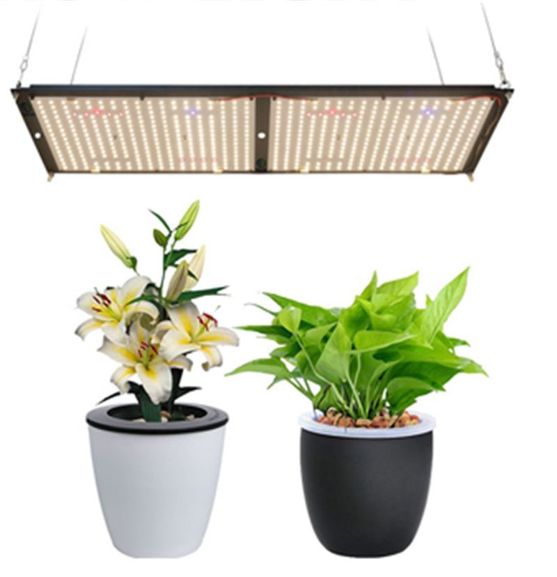 1 Layer SMD LED Board Grow Lights With PCBA Assemblies