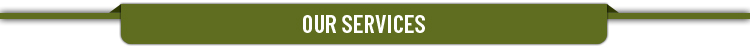 Our-Services.jpg