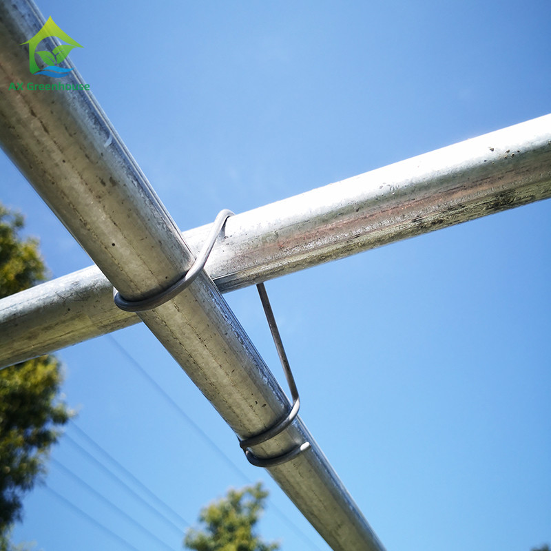 0.06mm 0.20mm Thick Flm Poly Tunnel Greenhouse Hot Galvanised Steel Greenhouse