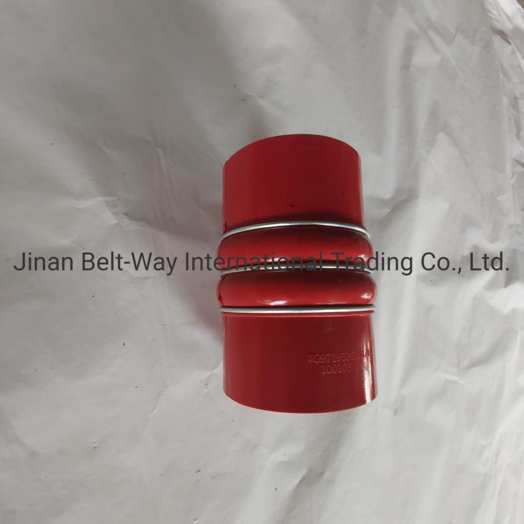 Sinotruk HOWO Parts Truck Parts Truck Spare Parts Intercooler Outlet Hose Wg9719530108-1
