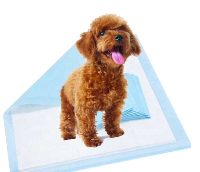 5 Layers Fluff Pulp Mixed SAP Biodegradable Bamboo Pet Pee Pad