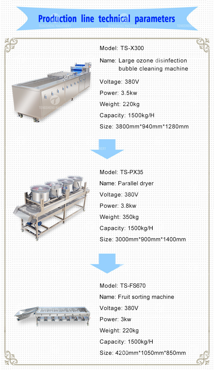 380V Fruit And Vegetable Processing Line Fully Automatic Cleaning Drying Grading