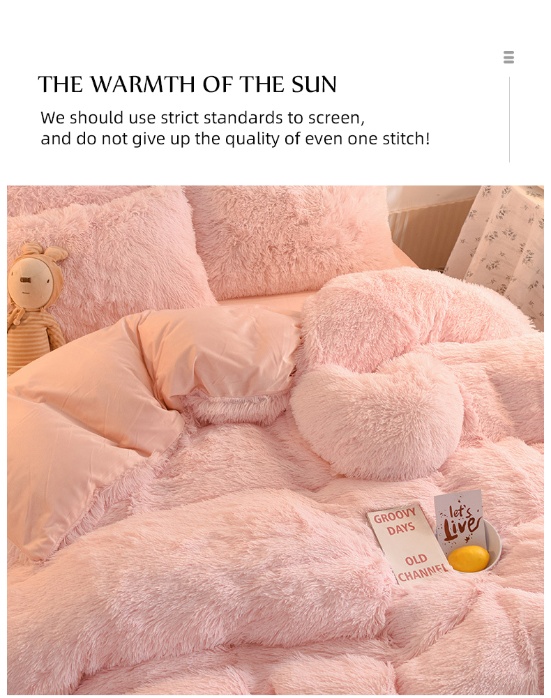 Plain Dyed Modern Solid Color Mink Velvet Four-piece Set Winter Plush Warm Bedding Set