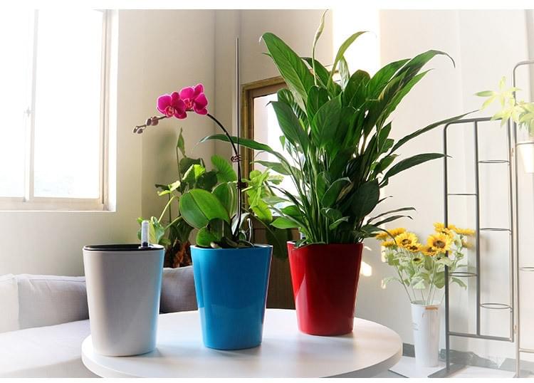 Bucket Shaped Plastic 18cm Height Self Watering House Plants