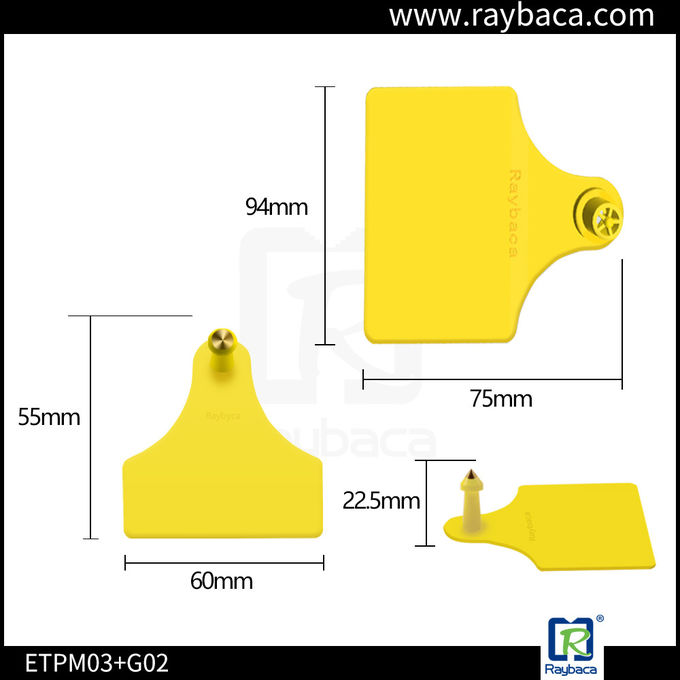 Livestock Farm Cattle Ear Tags Female And Male Two Pieces RBC-ETP23