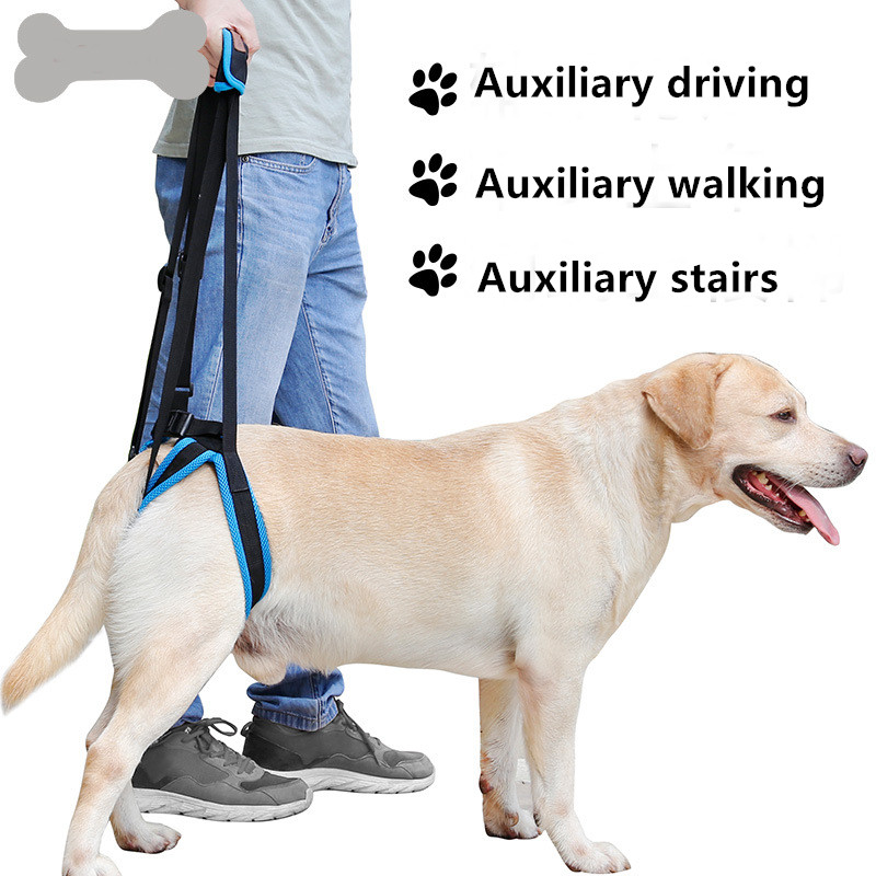 Nylon Pet Leg Support Belt Rear Leg Disability Injury High Aged Dog Stair Auxiliary