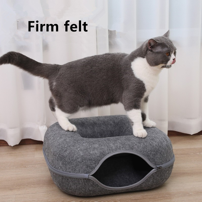 hard cat bed