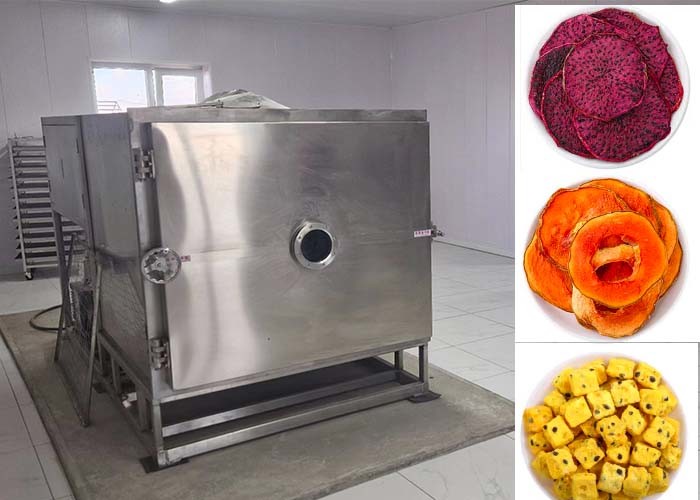 Powerful Bitzer / Leybold Refrigeration System Freeze Dryer For Fruits
