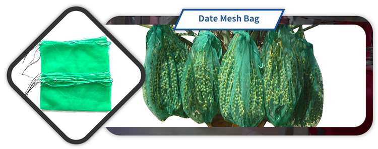 Quick Delivery HDPE Mesh Net Bag for Harvesting and Preserving Dates Palm in 40g/pc Size