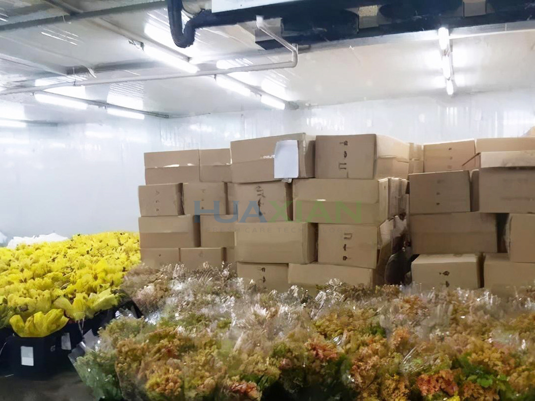 Air Cooled Cold Storage Room Fresh Cut Floral Flower Walk In Cooler