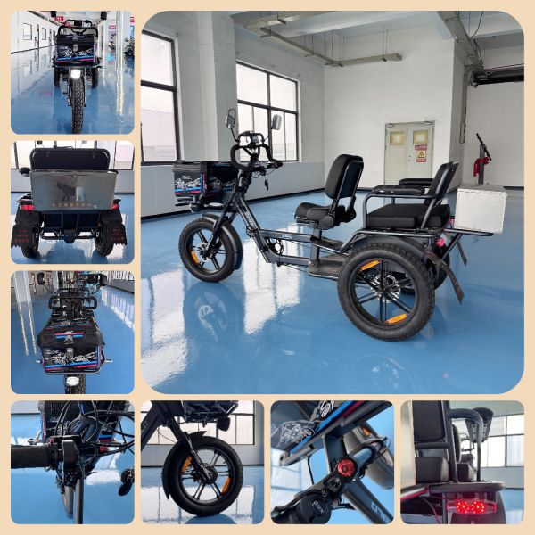 Smooth Riding Two Seater Electric Trike 70 kg With Off Road Tires