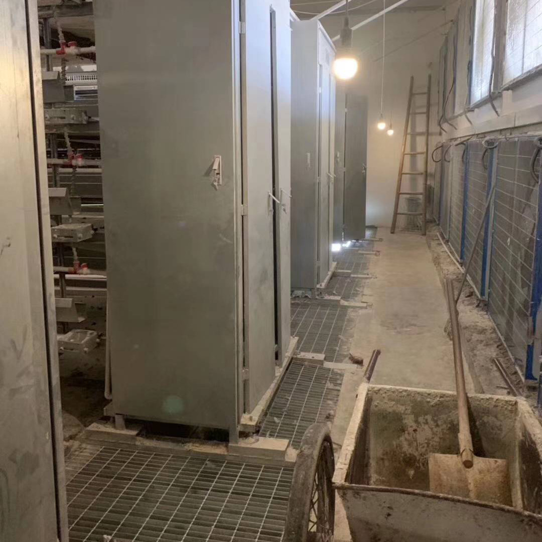 120 * 60 * 70cm Poultry Chicken Cage Automatic Control Labor Saving Eco Friendly