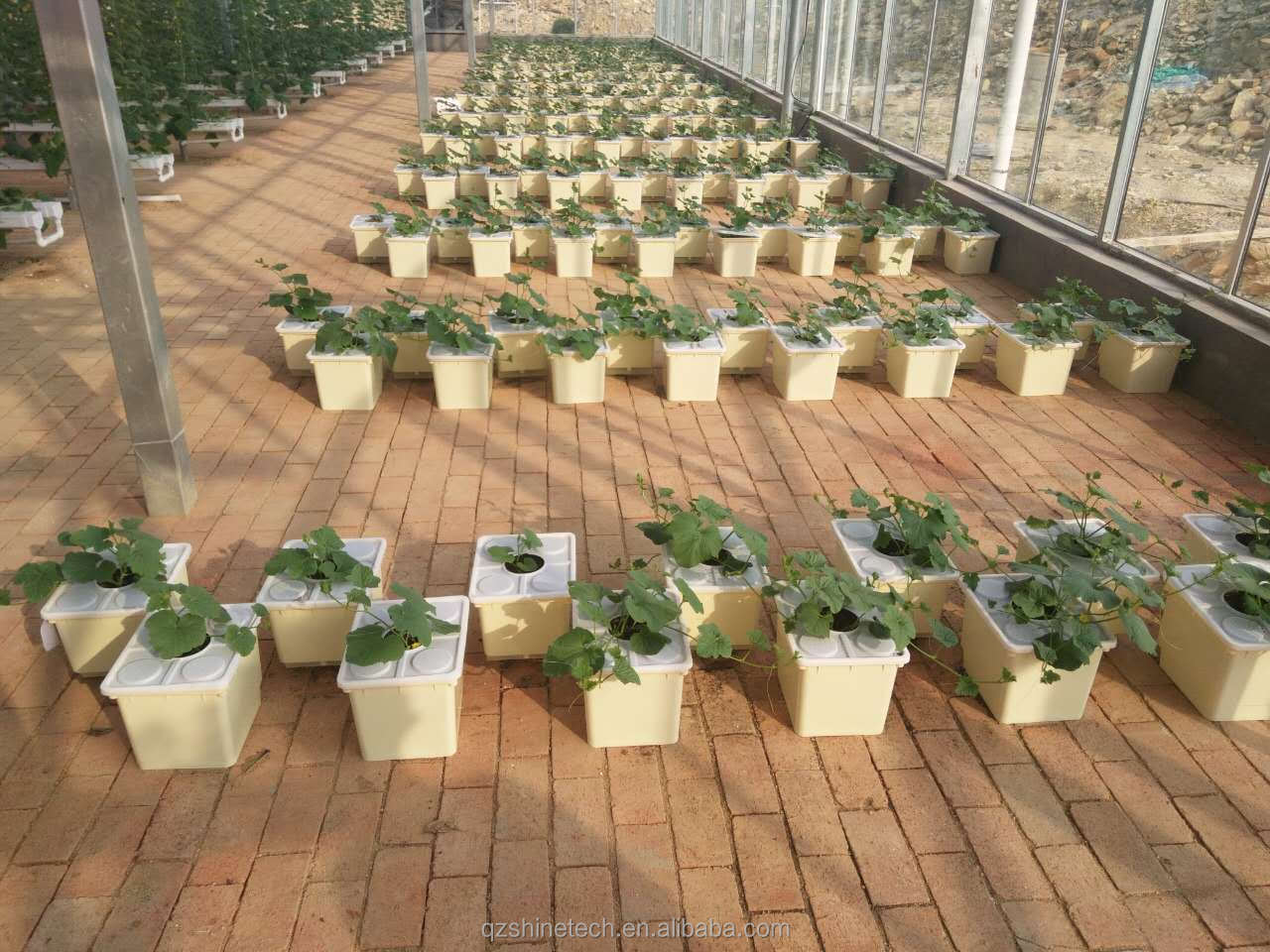 30*25*23cm Dutch Bucket Complete Hydroponic Growing System For Tomato Cucumber Pepper