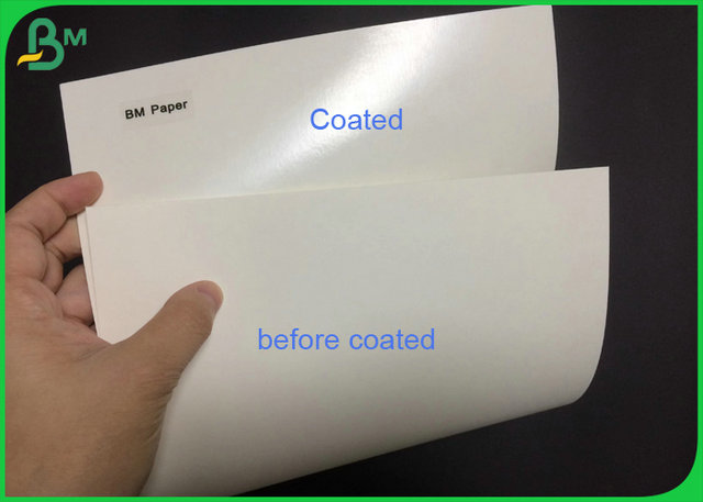 ECO 210 230 Grammages Cup Base Paper Board Coated Polyethylene For Paper Cup 