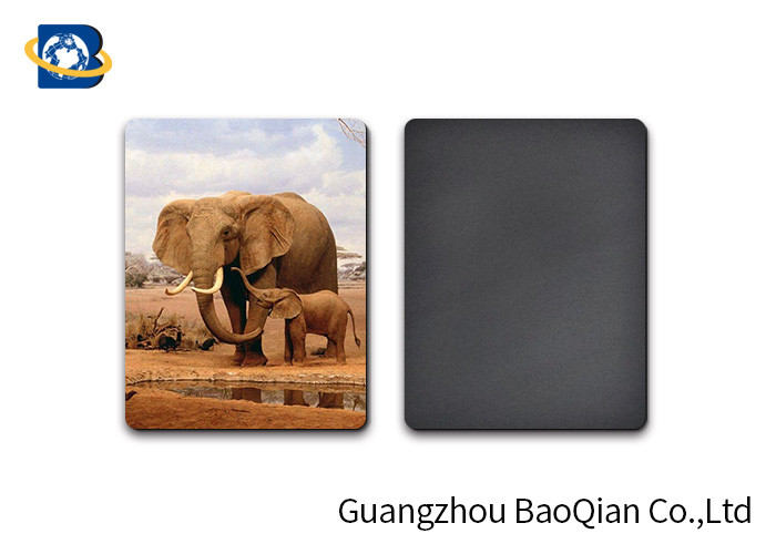 Custom Animal 3D Fridge Lenticular Magnet PET Material Thickness 0.6mm SGS Approval