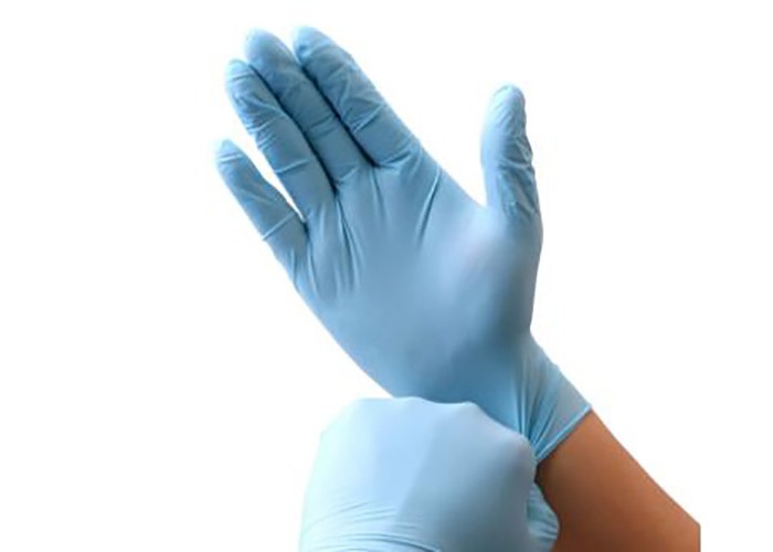 Powder Free Vinyl Exam Gloves