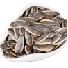 Buy cheap Amazon hot sell Manufacturers wholesale a large number of sunflower seed raw from wholesalers