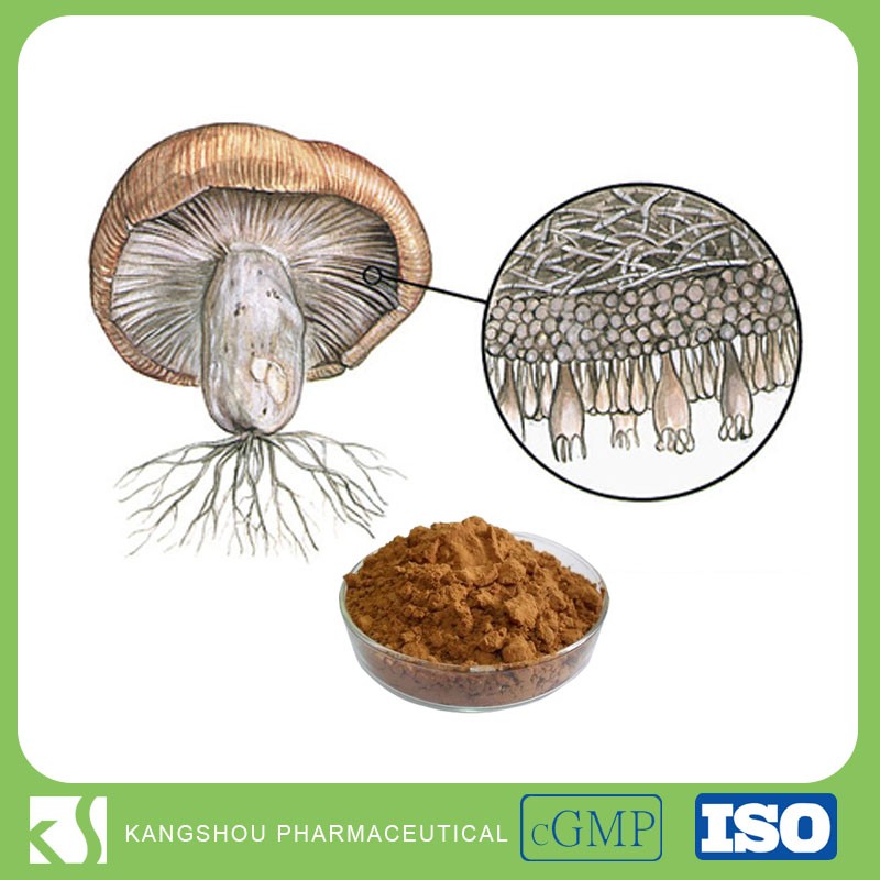 Immunity Enhancing AHCC Powder 10%-50% Active Hexose Correlated Compound