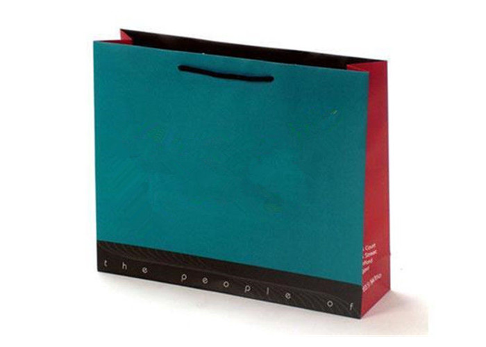 Custom Coated Foldable Paper Bag for Luxury Gift Paper Shopping Bag with Drawstring Handle