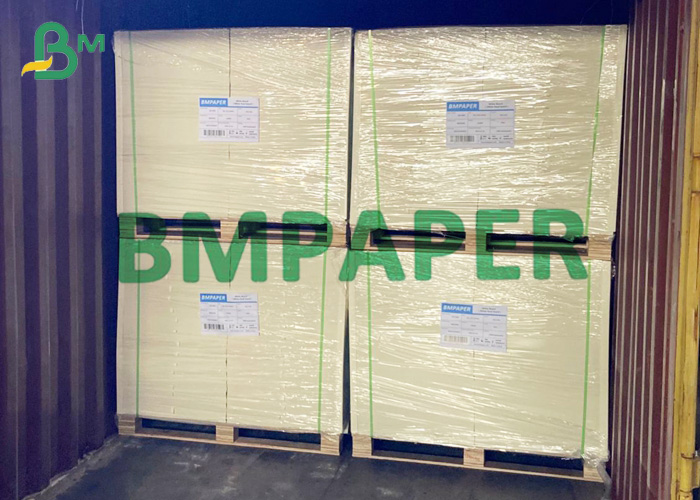 300gsm + 15g PE Formable Polycoated Cupstock Board For Hot Coffee