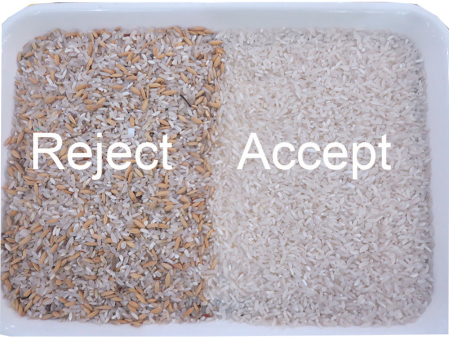 CCD Camera Rice Color Sorter Machine Optical Rice Color Sorting Machine