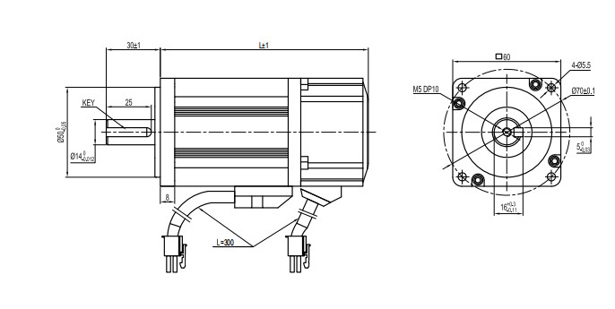 High Performance Low Voltage 24V 48V Dc Brushless Servo Motor 60mm