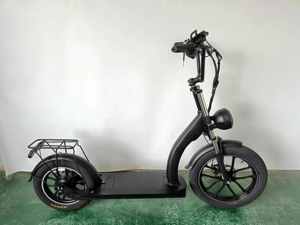Richbit H200 Fat Electric Scooter Cycle 1000w 48v 16ah 20x3.0 Inch