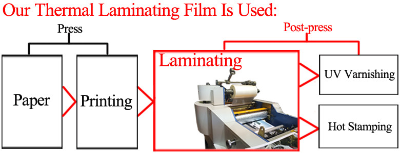 Plastic Gloss Laminating Film For Commercial Printings 12 - 350 Micron Thickness