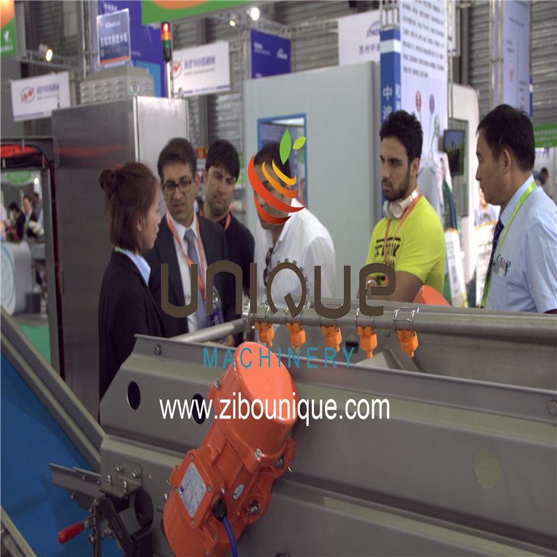 31KG Industrial Automatic Boots Cleaning Washing Access Control Machine for Food Workshop