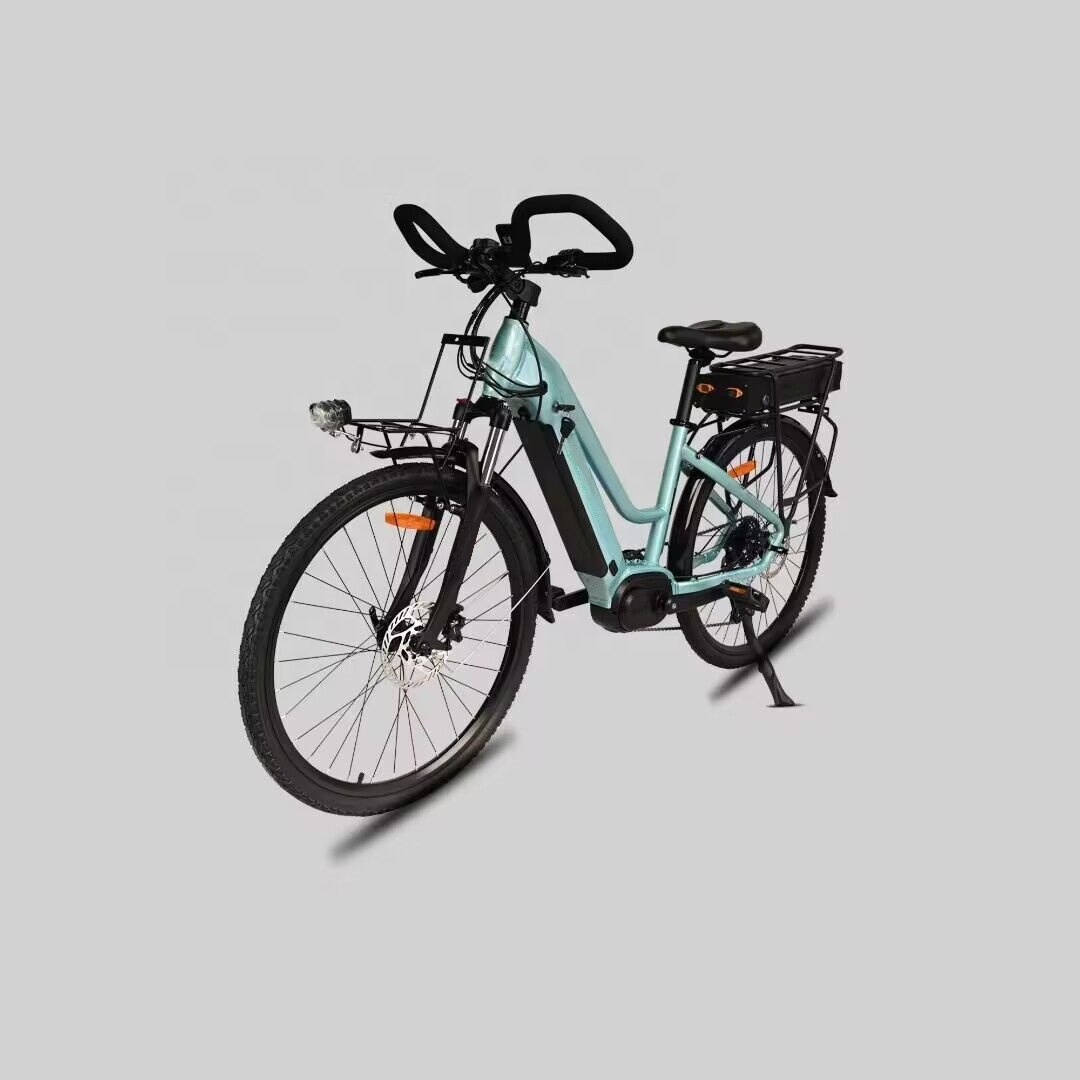 26 Inch Mid Drive Electric Bike 250W Hydraulic Disc Brake Bicycle For Adult