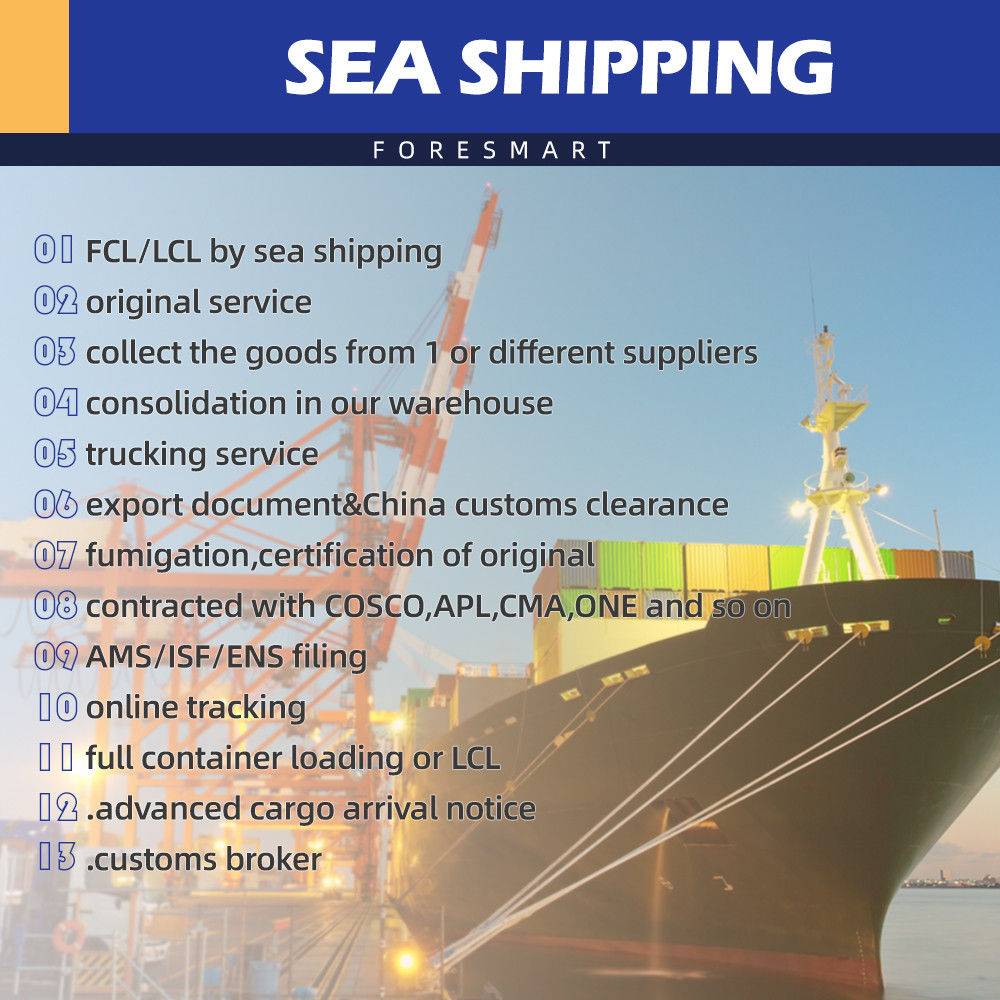 TUV China To Asia LCL Sea Freight LCL Shipping Agent