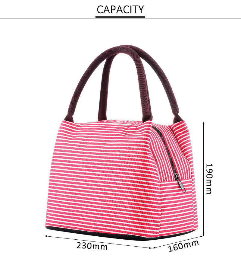 Reusable Aluminum Lining Insulated Cooler Bags