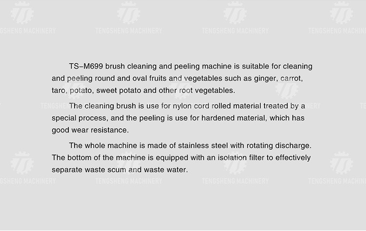 1500KG/H Sweet potato cleaning and peeling machine manufacturers supply brush peeling cleaning machine
