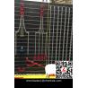 Buy cheap grade 80 chain lifting sling ,multi-leg from wholesalers
