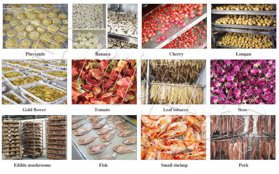 Hot Pepper Drying Processing Line Automatic Chili Dryer Machine For Vegetable Fruit