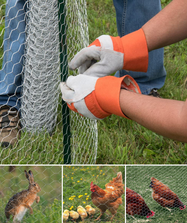 4ft Galvanized Poultry Hexagonal Wire Netting PVC Coated Chicken Wire BWG 12