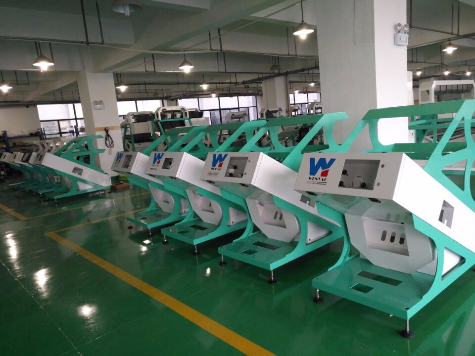Wenyao Best Sorting Accuracy Peach Gum Separator Arabic Olibanum Gum Color Sorting Machine