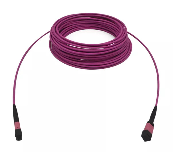 12Fibers 24Fibers MPO/MTP SM MM 5.5mm Trunk Cable/Patch Cord