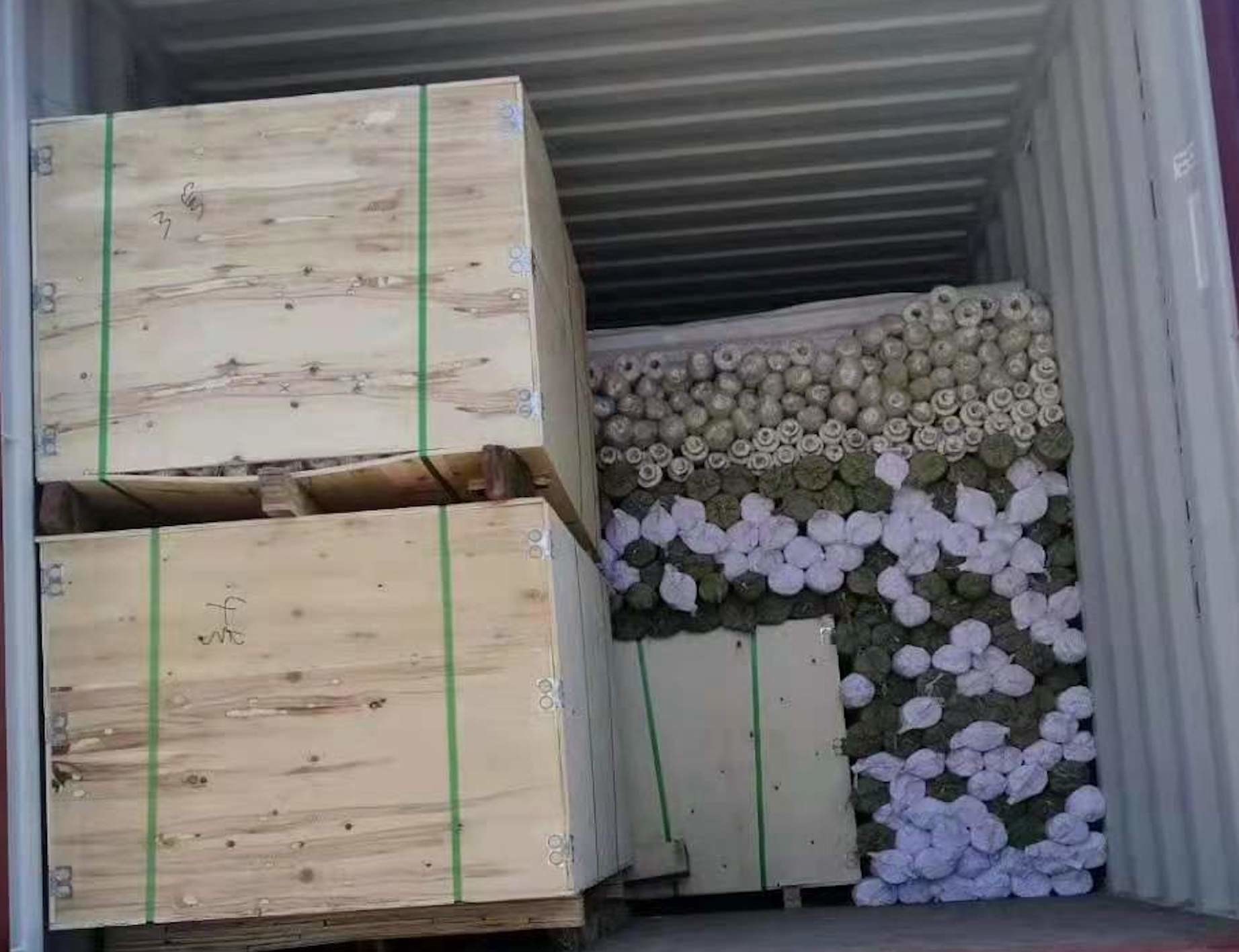 SS316 1/400 Plain Weave Wire Stainless Steel Woven Mesh