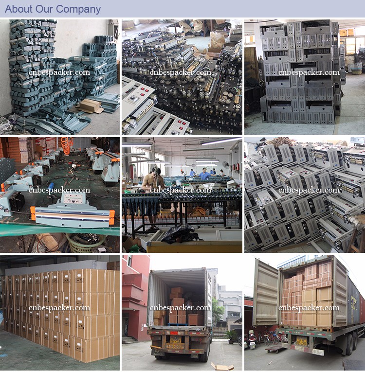 Continuous Band Automatic Sealing Machine 110V/220V Horizontal