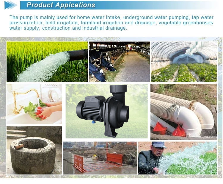 water pump